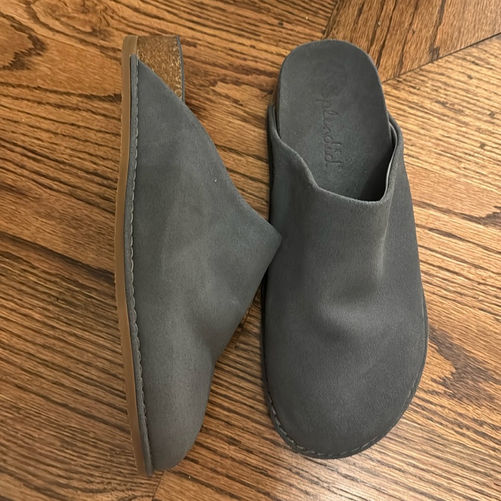 Splendid Caaey Mules